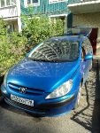 Peugeot 307 , 2003 , 245  .