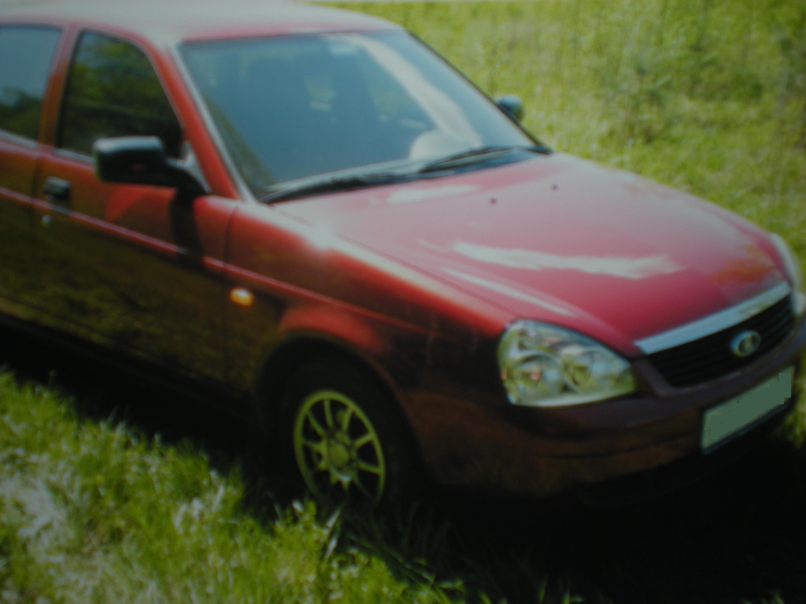 ���� ������ 2008-2009