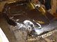 BMW 525i