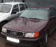 ������� ���� 100