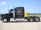   Peterbilt 389